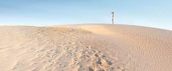 Sand dunes resort hotel is situated nearby to cane patch. Climbing Sand The Dunes Of The Outer Banks Our State
