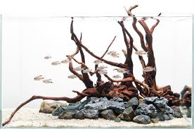Mounted Driftwood Aquarium Decorations Items In Aquarium Driftwood Store On Ebay Fish Aquarium Decorations Aquarium Decorations Aquarium Design