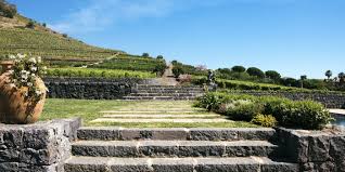 Benanti Viticoltori – Etna Wine Tour