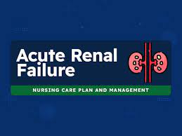 8 Acute Renal Failure Nursing Care Plans - Nurseslabs