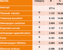 Image result for Diheteropogon
