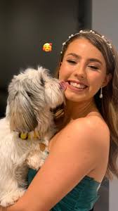 🏠ming na ❤️ ChihuahuaShihtzu 🐾