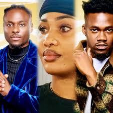 Accusations against a Big Brother Naija contestant