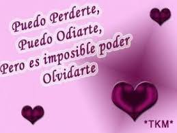 Puedo Perderte Puedo Odiarte Poemas Para Mi Novio Poemas De Amor Poema Cortos De Amor