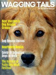 Buzhardt calls it, is a form of communication, dogs don't talk to themselves, so you won't see one wagging their tail if they're alone. Wagging Tails Magazine For Android Apk Download