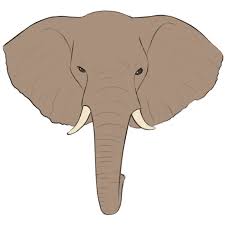 We did not find results for: How To Draw An Elephant Head Easy Drawing Art