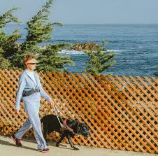 This fact is because many governments in the world have enacted pet registration rules. California Service Dog Requirements Service Dog Certifications