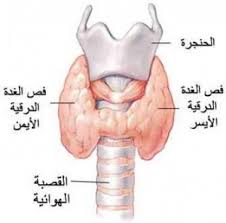 أمراض واضطرابات الغدد الصماء المرسال