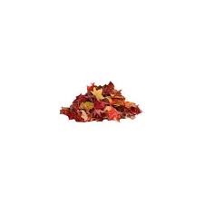 Leaf Pile Final Png 300 200 Pixels Create Liked On Polyvore Featuring Leaves Clothes Design Design Outfit Accessories