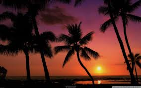 To get the desktop background. Tropical Sunsets Wallpapers Wallpaper Cave