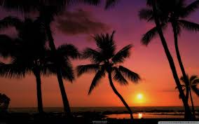 Here are the best free 4k videos on pexels videos: Tropical Sunsets Wallpapers Wallpaper Cave