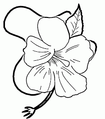 You want to see all of these related coloring pages, please click here: Hawaii State Flower Coloring Page Classroom Jr Coloring Library