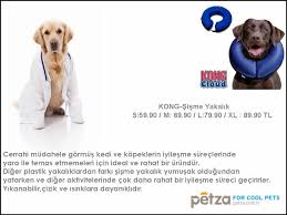 Petza Adli Kullanicinin Petza Www Petza Com Tr Panosundaki Pin 2020 Evcil Hayvanlar Kopek Malzemeleri Kopek