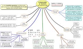 Campi Educativi Sindrome Di Down