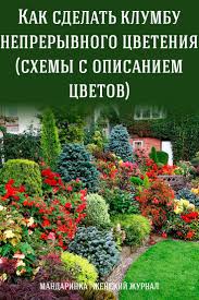 какие цветы посадить на клумбе чтобы цвели все лето Kak Sdelat Klumbu Nepreryvnogo Cveteniya Shemy S Opisaniem Cvetov Plants Landscape Design Beautiful Backyards