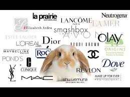 List of brands that test on animals. What Makeup Company Tests On Animals Saubhaya Makeup