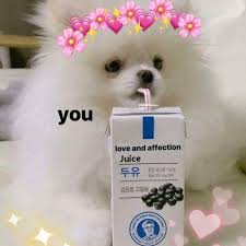 To that end, we've compiled 35 of the internet's most wholesome memes for your perusal. Wholesome Memes Ateez ì—ì´í‹°ì¦ˆ Amino Amino
