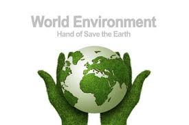 ¿qué es el día mundial del medio ambiente? Cuando Es El Dia Del Medio Ambiente 2021 Sobrehistoria Com