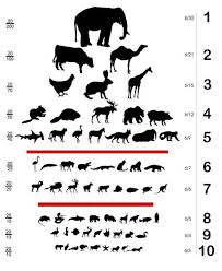 Eyes Vision Eye Vision Chart Pdf