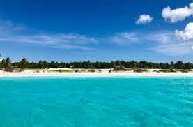 Nusa tenggara timur, indonesia · 23 hotel tersedia. Indonesia S Secluded Paradise Of Rote Ndao Explored Destination Asia News