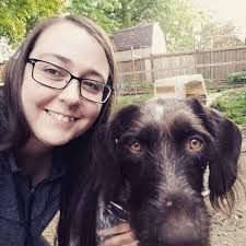 Cleavers Medicinal Benefits