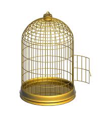Gamesradar+ takes you closer to the games, movies and tv you love. Golden Cage Stock Illustration Illustration Of Empty 2913498