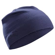 Arcteryx Rho Ltw Beanie Beanie Algorhythm One Size