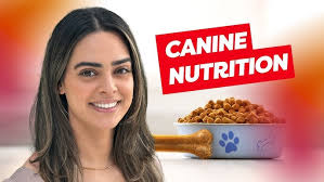 Dr. Lisa Weeth: Managing Pet Obesity