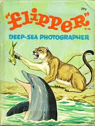 the flipper blog: 2010