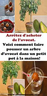 Pin On Des Jardins