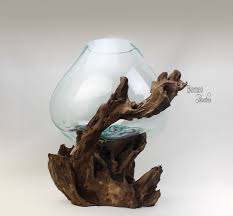 Tfwadmx natural driftwood for aquarium, reptile branches terrarium wood aquarium trunk driftwood tree fish tank log decoration 2 pcs 4.2 out of 5 stars 382 $13.99 $ 13. Hand Blown Molten Glass On Driftwood Base Sculpted Terrarium Vase Fish Bowl Indoor Planter Eco Tillandsia Aerium Unique Root 41x38x33cm Hand Blown Molten Glass Vase