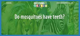 If you don't want to read the whole page, be sure to download our pdf of printable trivia questions … Animal Trivia Questions And Quizzes Questionstrivia