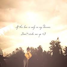 My Edit I Don T Want To Wake Up If This Is A Dream But If I Wake Up And You Are Still Here I Want You To Know You Will