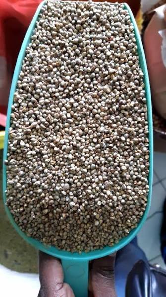 Millet Graine