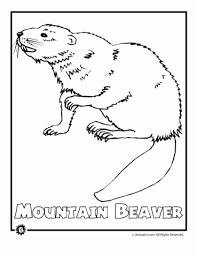 There are tons of great resources for free printable color pages online. Endangered Mtn Beaver Woo Jr Kids Activities North American Animals American Animals Endangered Animals