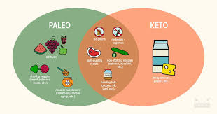 paleo vs keto similarities differences which is best for you