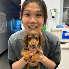 Veterinary Care Group (@veterinarycaregroup) · Instagram 照片和视频