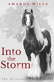 Into The Storm The Riverdale Pony Stories Book 3 Books For Kids Horse Books Dog Stories Pony