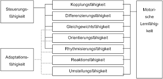 Im allgemeinen kann man koordinative fähigkeiten als zusammenspiel aller sinnesorgane, dem peripheren und zentralen nervensystem und der skelettmuskulatur bezeichnen. Http Content Grin Com Document V314657 Pdf