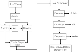 Raw Fish An Overview Sciencedirect Topics