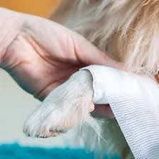 Should you experience a health issue with your pet when we are closed, please contact the following offering 3 locations, call or click on the maps below to find location nearest you Emergency Vet Care Near Me 06413 Clinton Veterinary Hospital