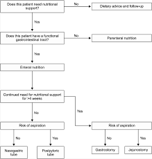 flowchart of the decision making process for enteral