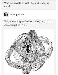 Biblically Accurate Angels Awesome Categories 2joke In 2020 Angel Tumblr Users Real Angels