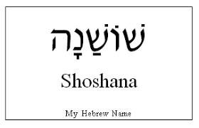 Sue In Hebrew