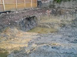What are the different temperament types and which type do you belong? Soil Contamination Wikipedia