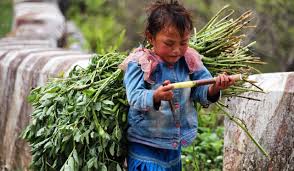 Historically, child labor is defined as work that deprives children of their childhood, their potential and their dignity, and that is harmful to physical and mental development. Child Labour