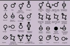 Fiera gallery, la firma de joyas cordobesa que da un paso adelante con accesorios para género fluido. Generos 4 Intergenero Transgenero Genero Fluido Y Androgino Lgbt Amino