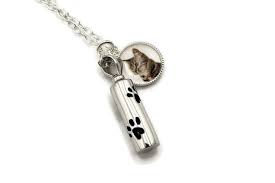 Jewelry from pet ashes allows you to preserve your memories through the size, color, style, and setting of the cremation diamond. ÙƒÙŠÙ„ÙˆÙ…ØªØ±Ø§Øª Ø§Ø®ØªØ²Ø§Ù„ Ø§Ù„Ø£Ø´Ø¹Ø© ØªØ­Øª Ø§Ù„Ø­Ù…Ø±Ø§Ø¡ Cat Ashes Necklace Outofstepwineco Com