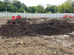 Wellington City Council