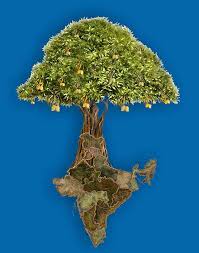 Biography of Jamsetji Tata | Simply ...